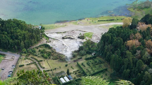 Breathtaking aerial view of a lush forest beside a tranquil lake shore.