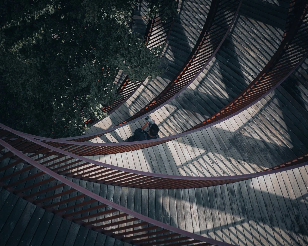 Spiral up a wooden ramp to the top of a beech forest without climbing a step