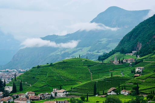 Terraced hillside above Bolzano with mountains behind.