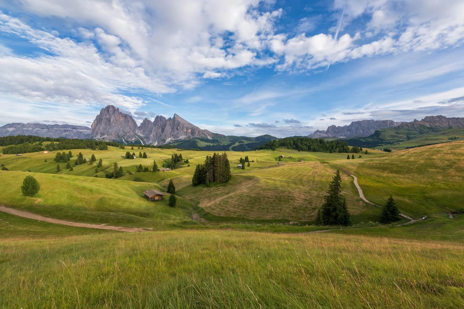 Green pasture on the Alpe di Siusi with the Sassolungo and Sassopiatto rising behind.