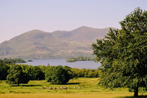 Horse riders in lush fields with mountains and lake backdrop in Killarney National Park, Ireland.
