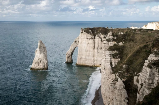 The white cliffs and arch of Étretat across a calm bay, with wildflowers in the foreground.