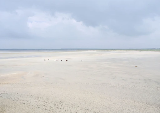 A vast tidal flat in the bay of Mont-Saint-Michel, with a few tiny figures far off under a cloudy sky.