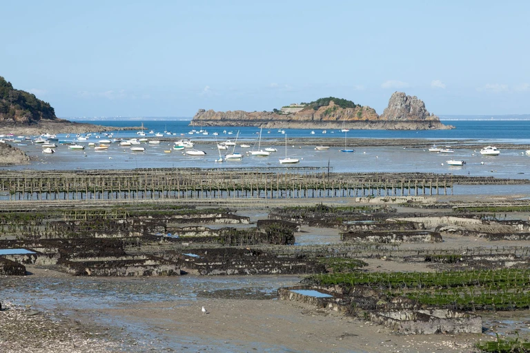 Eat oysters in sight of the beds they grew in