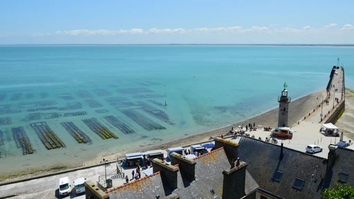 Cancale from above, with rows of oyster beds under clear shallow water and a small lighthouse on the shore.