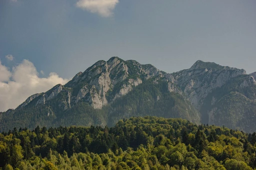 Wooded slopes and limestone summits of the Piatra Craiului massif.
