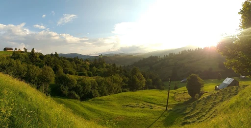 Wide view of trees and hills in the Maramureș mountains.
