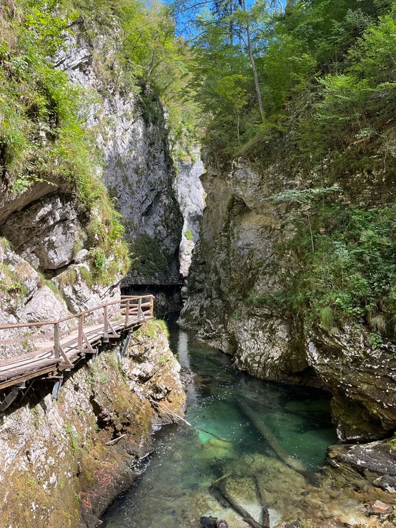 Walk through a gorge of green water on wooden boardwalks