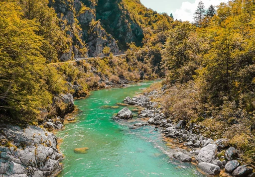 Vibrant green Soča River flowing through scenic forested mountains in Slovenia.