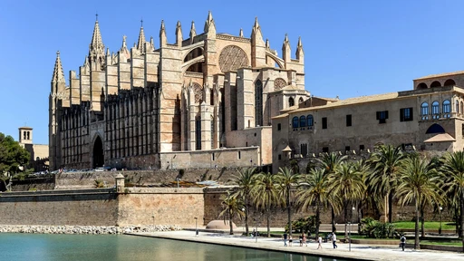 Palma Cathedral behind palm trees under a clear blue sky.