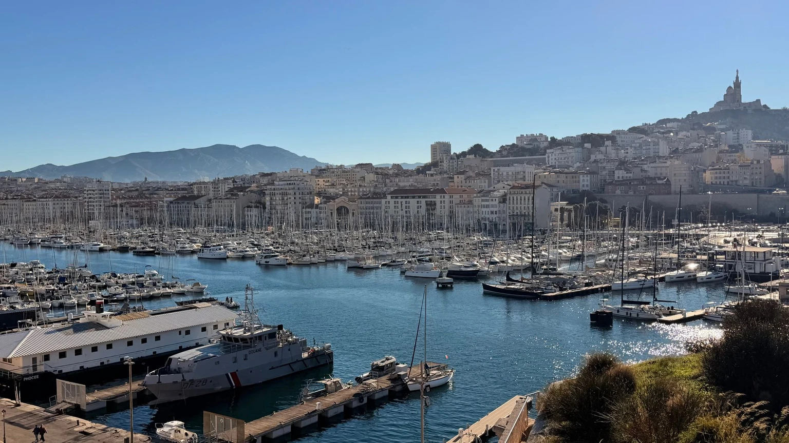 The Old Port of Marseille in summer, with boats at their moorings and the city rising behind.