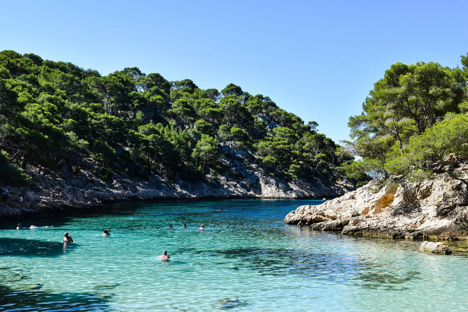 Swimmers in the clear turquoise water of a calanque cove, with pale limestone cliffs behind.