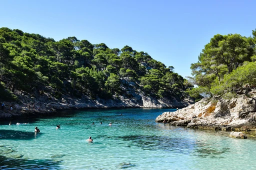 Swimmers in the clear turquoise water of a calanque cove, with pale limestone cliffs behind.
