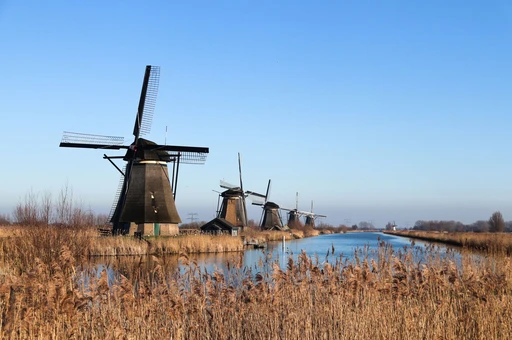 A row of windmills beyond reeds on a Kinderdijk canal.
